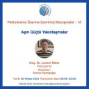 Psikodrama Üzerine Çevrimiçi Buluşmalar: 13